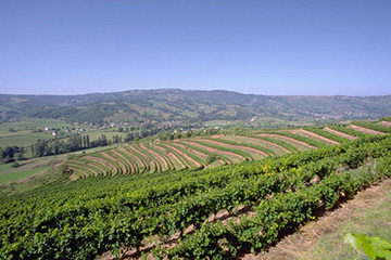瓦利斯和富圖納群島富圖納島機場三字代碼(FUT),富圖納島機場(Pointe Vele airport)四字碼,瓦利斯和富圖納群島機場三字碼查詢